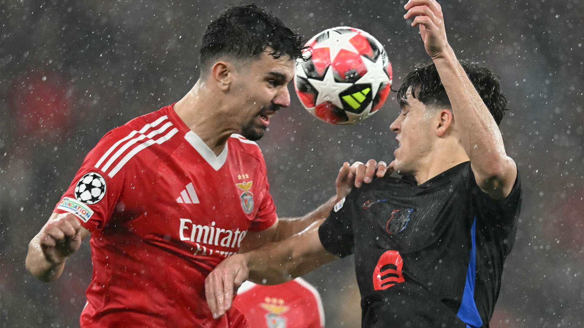 届世界杯的 届世界杯的